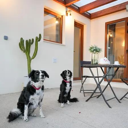 Tera شقة تشارنكه