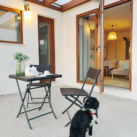 Tera * تشارنكه